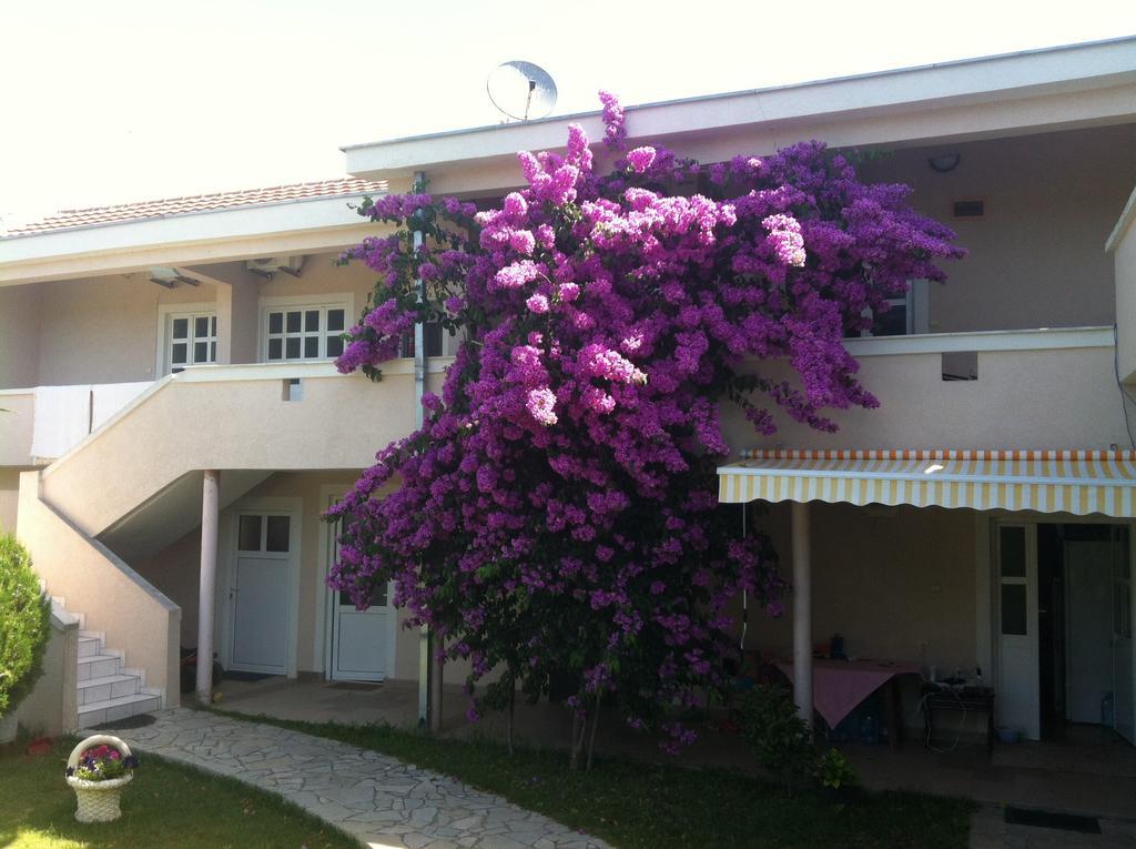Apartments Ada Bojana أولتْسي الغرفة الصورة